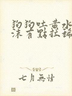 狗狗吐黄水带泡沫有点拉稀怎么办