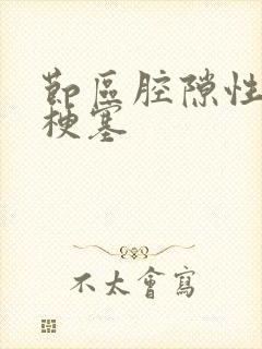 节区腔隙性脑腔梗塞