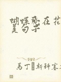 蝴蝶飞在花上唯美句子