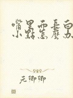 嘴里面长白色的小点怎么办