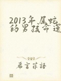2013年属蛇的男孩命运怎么样