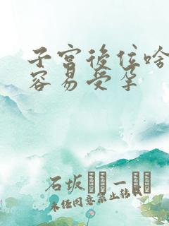 子宫后位啥姿势容易受孕