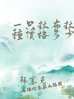 一只拉布拉多纯种价格多少钱