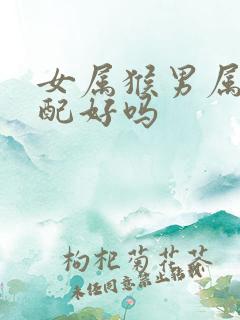 女属猴男属狗婚配好吗