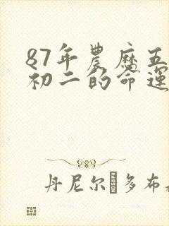 87年农历五月初二的命运