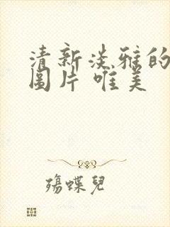 清新淡雅的背景图片 唯美