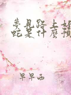 梦见路上好多蟒蛇是什么预兆