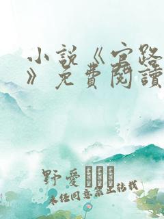 小说《官路风云》免费阅读