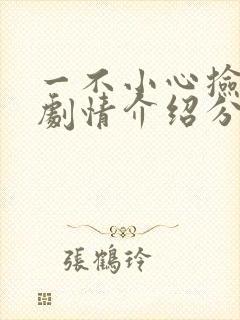 一不小心捡到爱剧情介绍分集