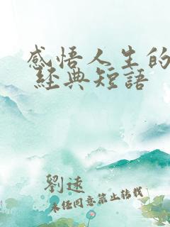 感悟人生的句子 经典短语