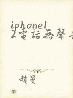 iphone12电话无声音