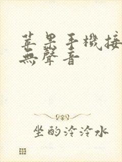 苹果手机接通后无声音