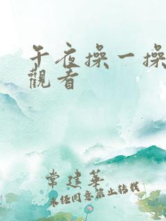 午夜操一操在线观看