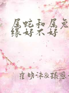 属蛇和属兔的姻缘好不好