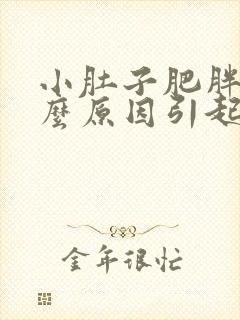 小肚子肥胖是什么原因引起的