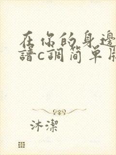 在你的身边吉他谱c调简单版