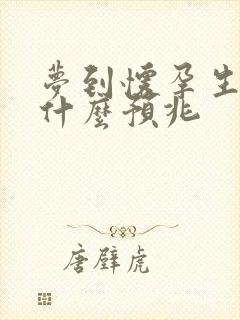 梦到怀孕生娃是什么预兆