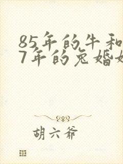 85年的牛和87年的兔婚姻怎么样