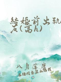 结婚前出轨前男友(高h)