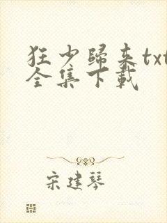 狂少归来txt全集下载
