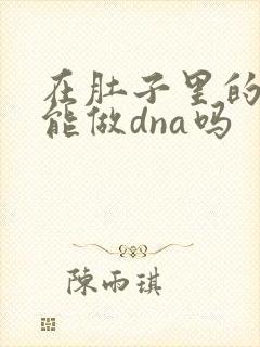 在肚子里的孩子能做dna吗