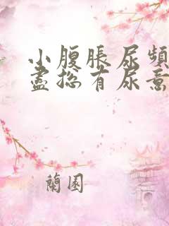 小腹胀尿频尿不尽总有尿意