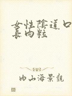 女性阴道口上方长肉粒