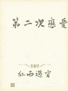 第二次恋爱日剧