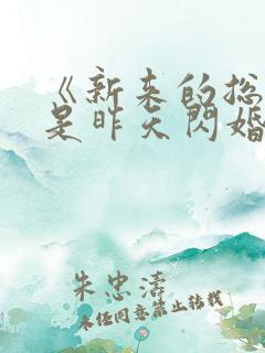 《新来的总裁竟是昨天闪婚老公》