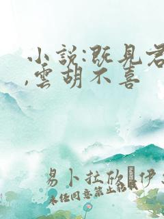 小说:既见君子,云胡不喜