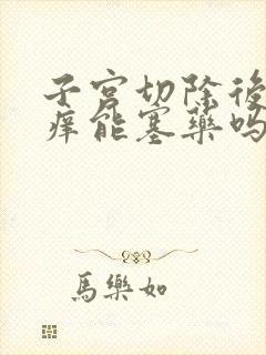 子宫切除后下身痒能塞药吗