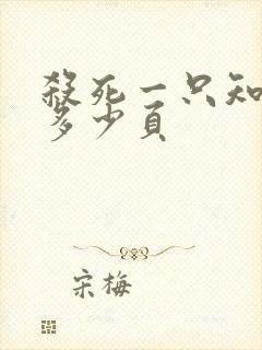 杀死一只知更鸟多少页