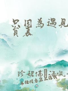 只因为遇见你演员表