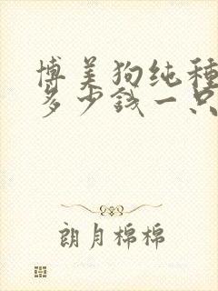 博美狗纯种大概多少钱一只