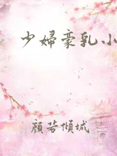 少妇豪乳小说