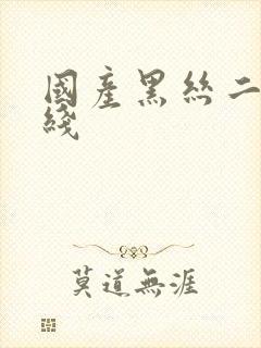 国产黑丝二区在线