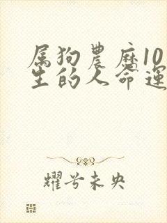 属狗农历10月生的人命运好不好