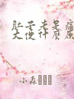 肚子老是痛老拉大便什么原因