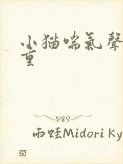 小猫喘气声音很重