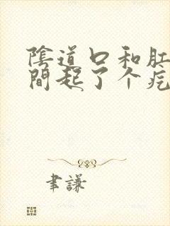 阴道口和肛门中间起了个疙瘩