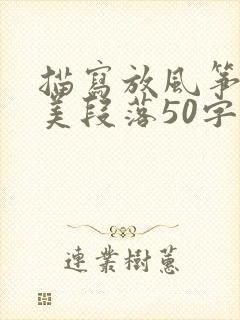 描写放风筝的优美段落50字