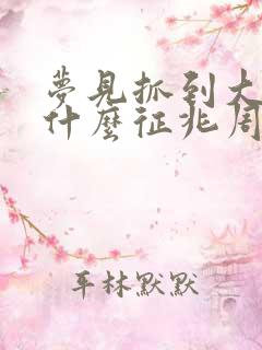 梦见抓到大鱼是什么征兆周公解梦