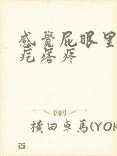 感觉屁眼里有个疙瘩疼