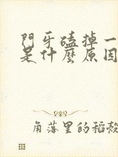 门牙磕掉一小块是什么原因