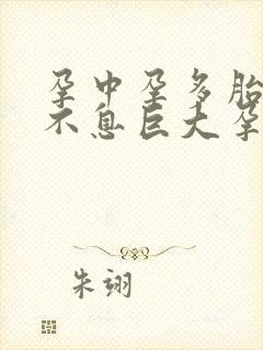 孕中孕多胎生生不息巨大孕肚小说