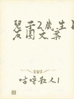 儿子2岁生日朋友圈文案