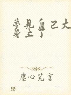 梦见自己大便拉身上了