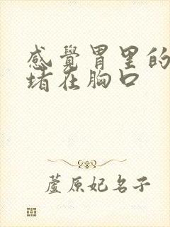 感觉胃里的东西堵在胸口