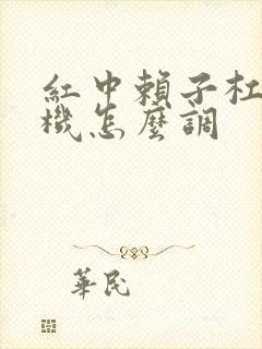 红中赖子杠麻将机怎么调