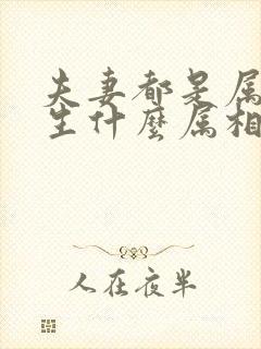 夫妻都是属鼠的生什么属相的孩子好